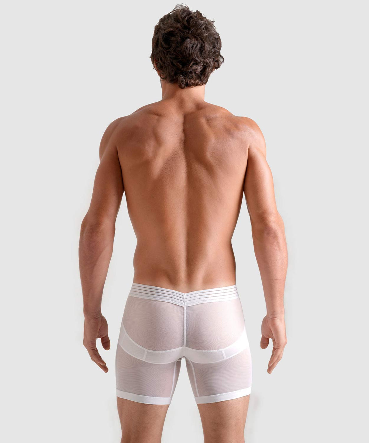 SEXY NIGHTS Anatomic Boxer Brief