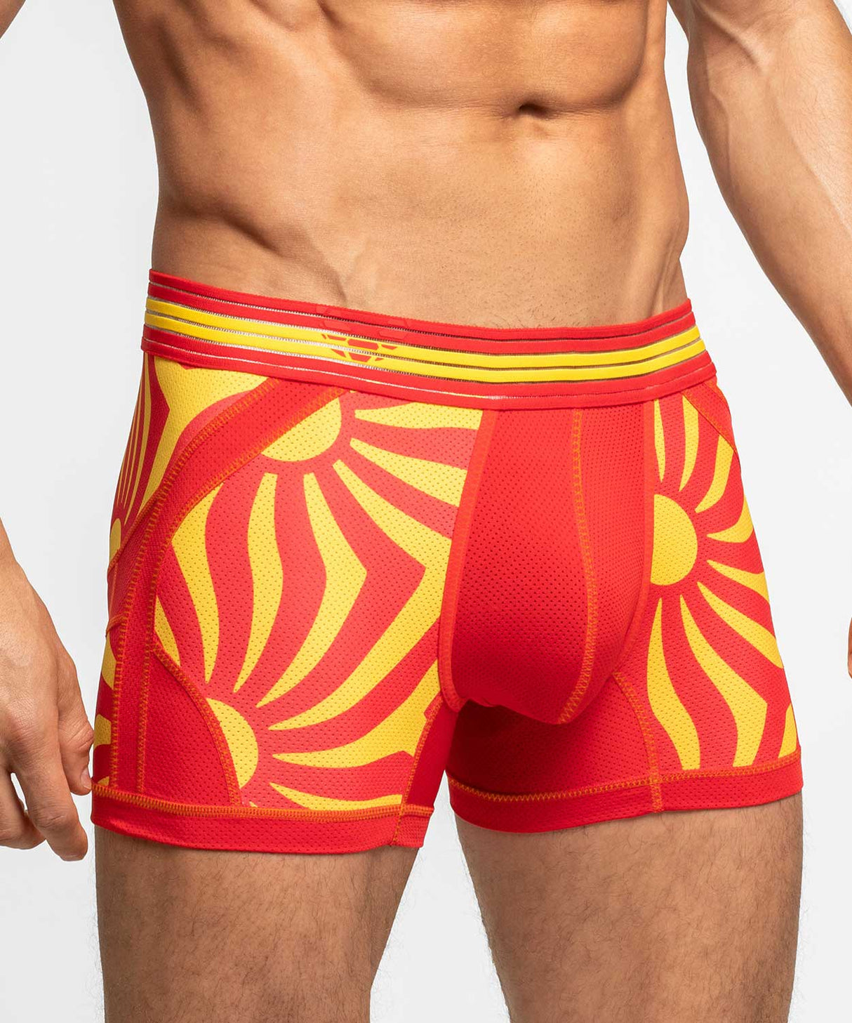 SOCCER EDITION Anatomic Trunk