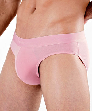 Essentials Modal Brief