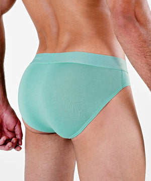 Essentials Modal Brief