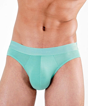 Essentials Modal Brief