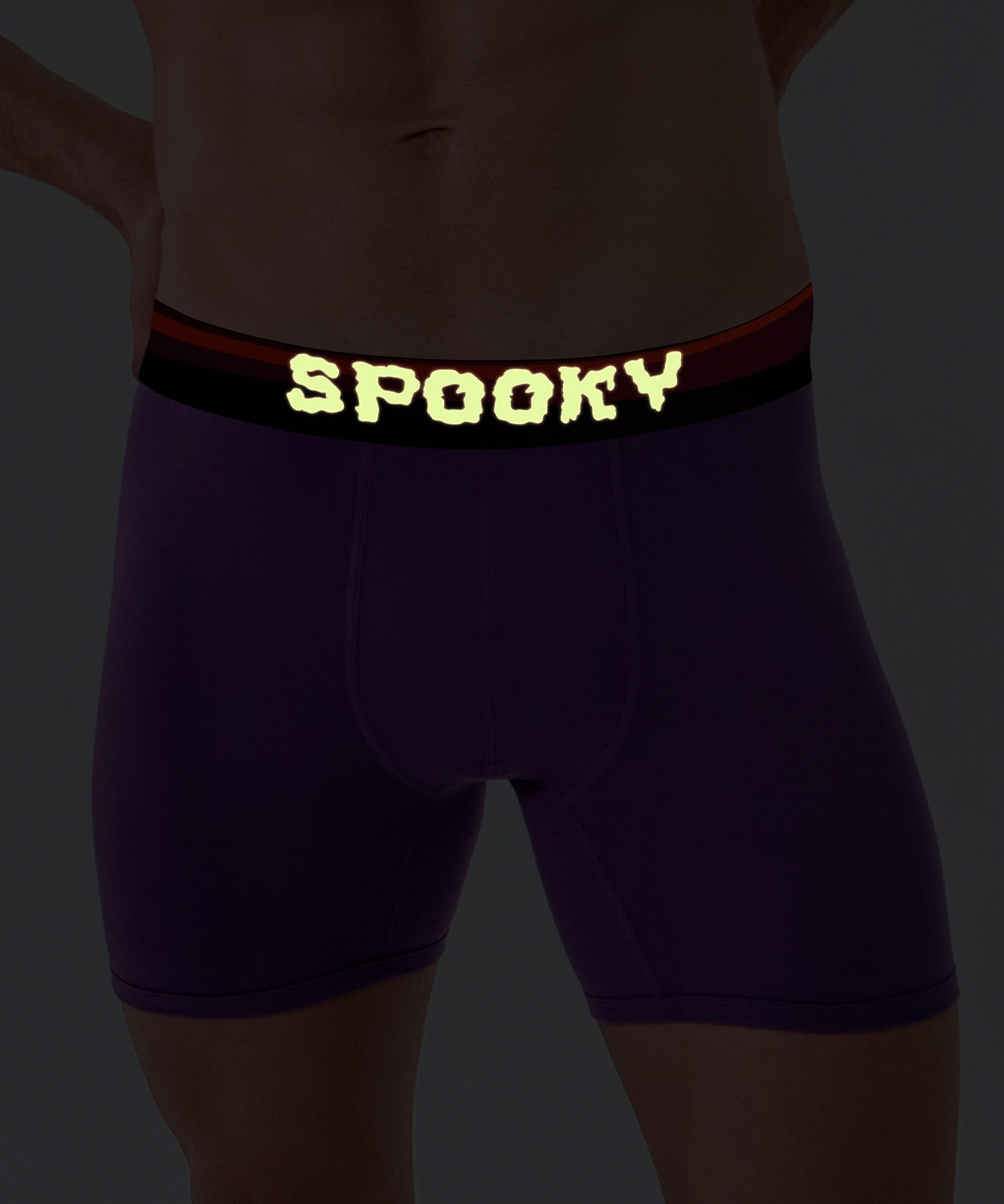 SPOOKY Boxer Brief