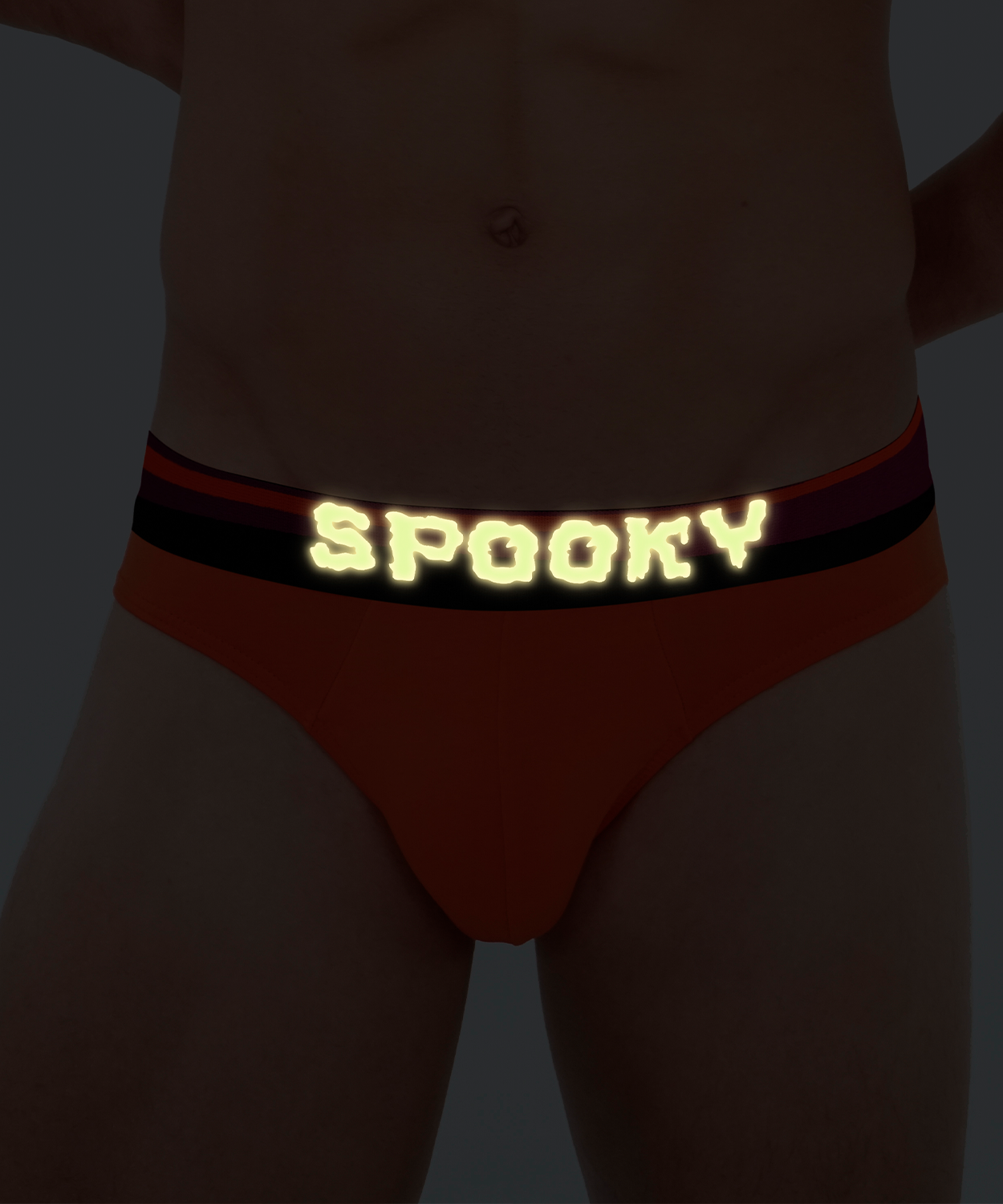 SPOOKY Brief