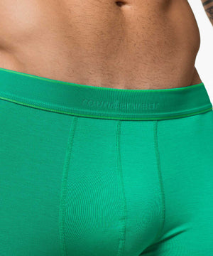 Essentials Bamboo Boxer Brief